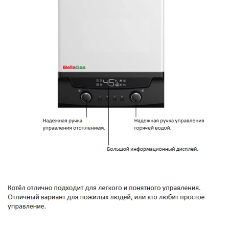 Газовый котёл BellaGas Best 24, с трубой